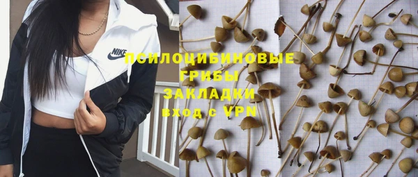 МДПВ Киренск
