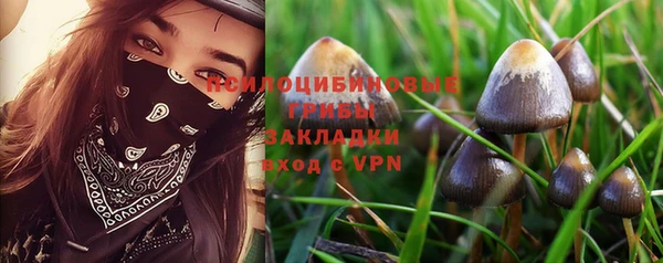 метамфетамин Козловка