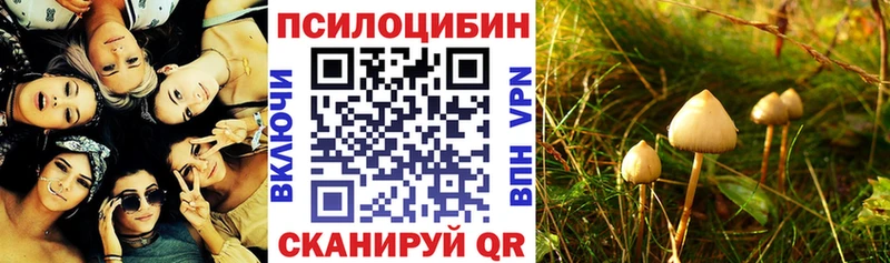 Галлюциногенные грибы Psilocybine cubensis цена наркотик Нововоронеж