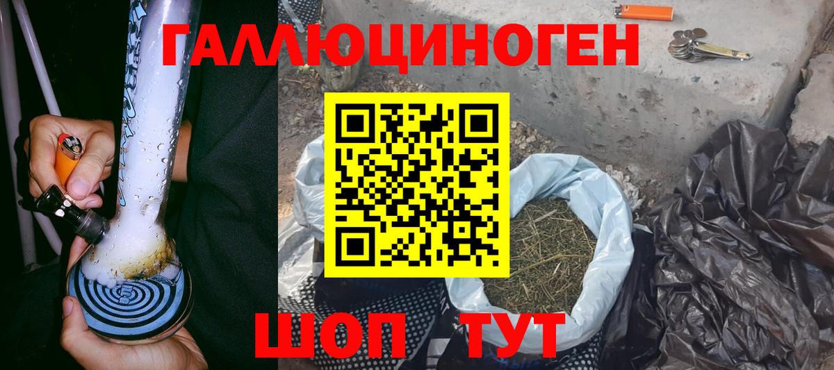 Нововоронеж  Галлюциногенные грибы Psilocybine cubensis  Вход с VPN 