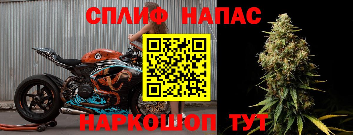 МАРИХУАНА ГИДРОПОН Нововоронеж